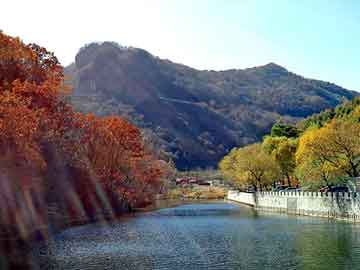 新澳天天开奖资料大全旅游团，暖玉种田